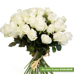 Белые высокие розы